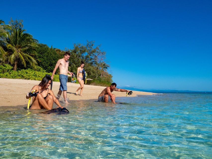 Port Douglas: Low Isles Glass Bottom Boat & Snorkeling Tour - Introduction: Why This Tour Catches Our Eye