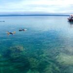Port Douglas: Low Isles Reef Snorkeling Tour - The Sum Up: Who Should Book This Tour?