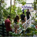 Port Douglas: Morning Daintree Tour w/ Wildlife Cruise - Practical Details and Value Analysis