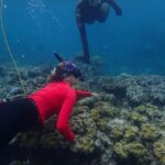 Port Douglas: Outer Great Barrier Reef Snorkeling Cruise - The Itinerary Breakdown