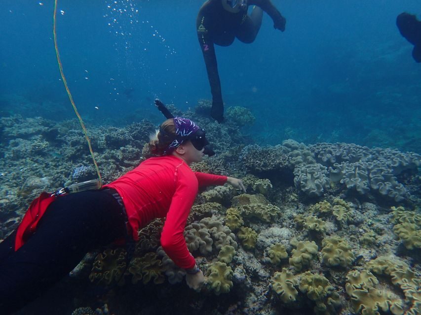 Port Douglas: Outer Great Barrier Reef Snorkeling Cruise - The Itinerary Breakdown