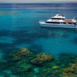 Port Douglas: Poseidon Outer Barrier Reef Dive and Snorkel - Food and Comfort
