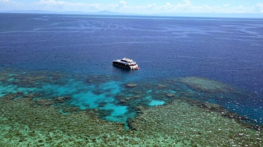 Port Douglas: Premium Outer Reef Dive Trip - What Youll Love About This Tour