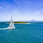 Port Douglas: Reef & Low Isles Cruise on Luxury Catamaran - Why This Tour Stands Out