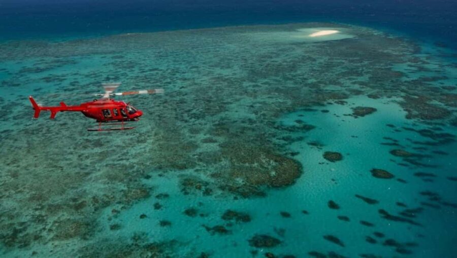 Port Douglas: Reef & Rain 60-Minute Helicopter Scenic Flight - Who This Tour Is Best For