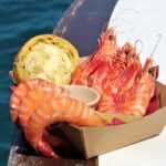 Port Douglas: Shaolin Seafood Lunch Sail, with Fresh Prawns - Who This Tour Is Perfect For