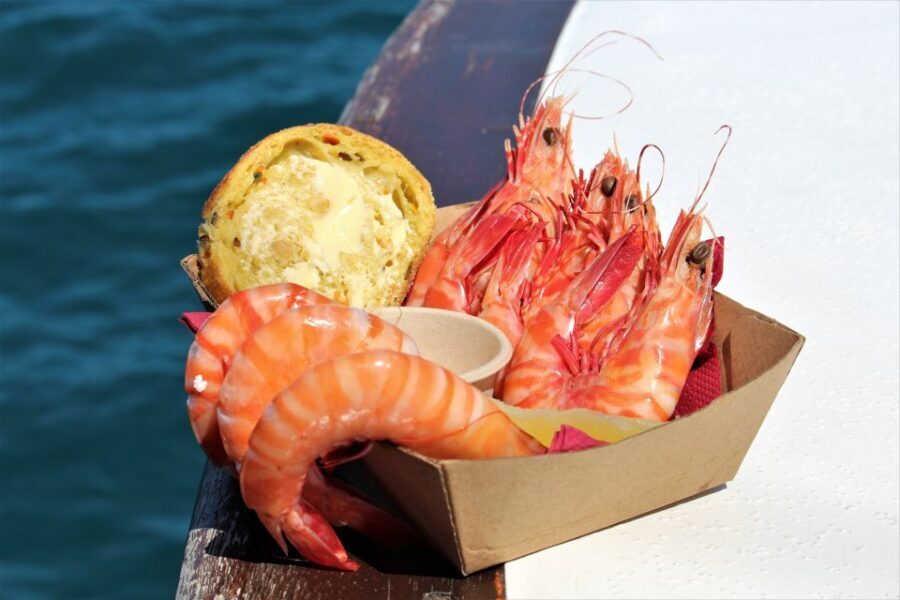 Port Douglas: Shaolin Seafood Lunch Sail, with Fresh Prawns - Who This Tour Is Perfect For