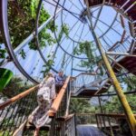 Port Douglas: Wildlife Habitat Entrance Ticket - What You Can Expect at the Wildlife Habitat