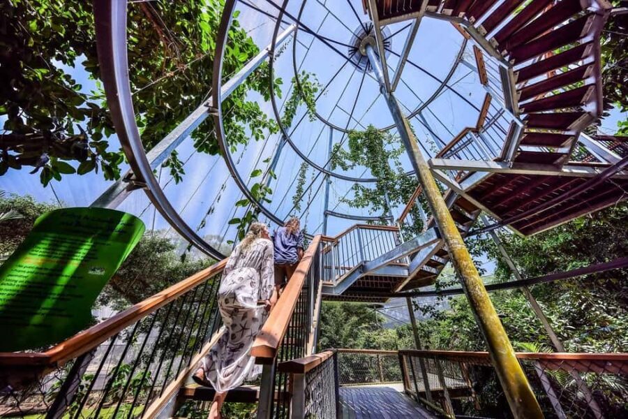 Port Douglas: Wildlife Habitat Entrance Ticket - What You Can Expect at the Wildlife Habitat