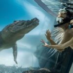 Port Douglas: Wildlife Habitat Swim with Crocodiles - Why the price is justified