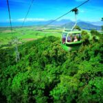 Port Douglas: World Heritage Forest by Skyrail & Scenic Rail - Pickup and Transportation