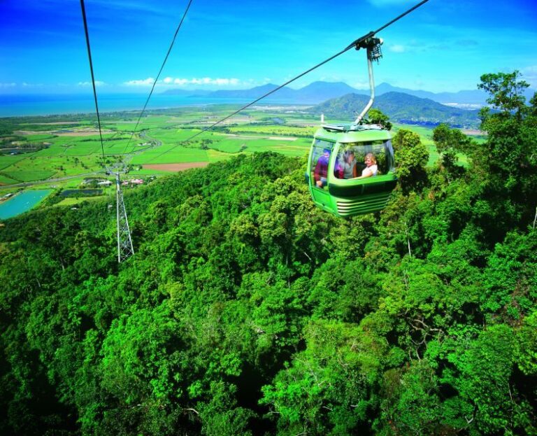 Port Douglas: World Heritage Forest by Skyrail & Scenic Rail - Pickup and Transportation