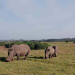Port Elizabeth: Kragga Kamma Game Park and City Tour - Who Should Consider This Tour?