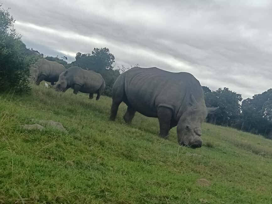 Port Elizabeth: Kragga Kamma Game Park Guided Tour - Is This Tour Worth It? The Value Breakdown