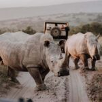 Port Elizabeth:Kragga Kamma Private game reserve safari - What to Expect on the Kragga Kamma Safari