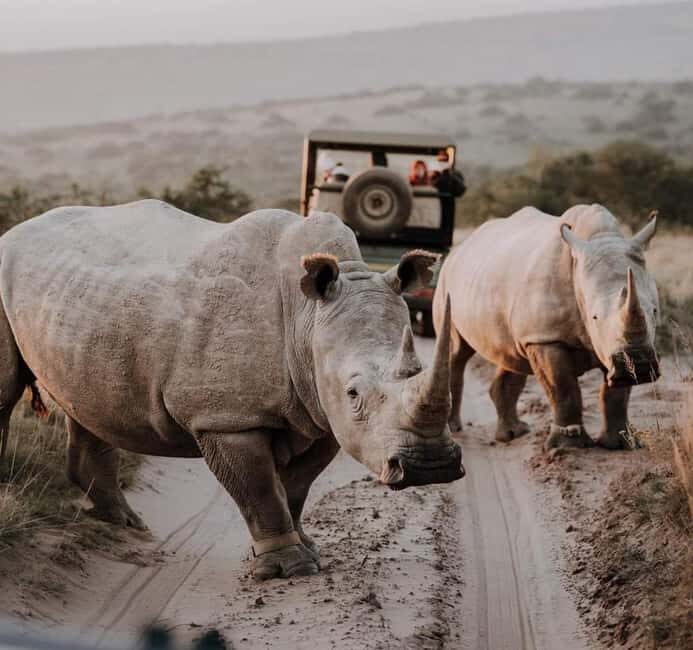 Port Elizabeth:Kragga Kamma Private game reserve safari - What to Expect on the Kragga Kamma Safari