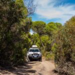 Port Lincoln: Wildlife and Sightseeing Full-Day 4WD Tour - Who Should Consider This Tour?