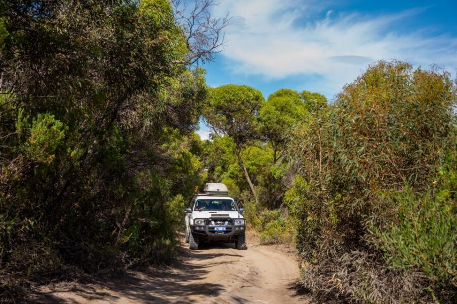 Port Lincoln: Wildlife and Sightseeing Full-Day 4WD Tour - Who Should Consider This Tour?