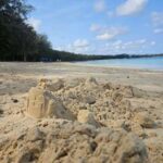 Port Louis: Mont Choisy, Botanical Garden, and Church Tour - Who Will Love This Tour?