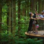 Port of Tauranga, Te Puia/Redwoods TreeWalk Glowworms/Hells Gate - Practical Details and Value
