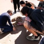 Port Stephens: Birubi Beach 4WD Tour with Sandboarding - What’s Included and What to Bring