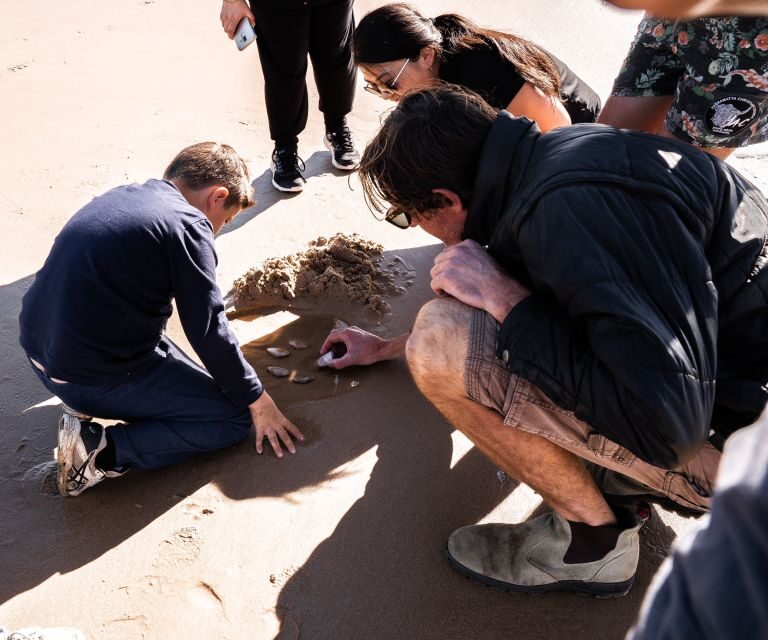 Port Stephens: Birubi Beach 4WD Tour with Sandboarding - What’s Included and What to Bring