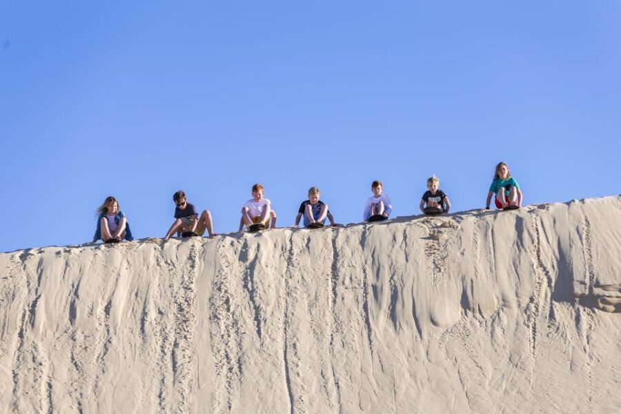 Port Stephens: Unlimited Sandboarding & 4WD Sand Dune Tour - Authentic Experiences & What Travelers Say