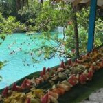 Port Vila Full Day Tour - Experience the Real Vanuatu - Pros and Cons Based on Reviews