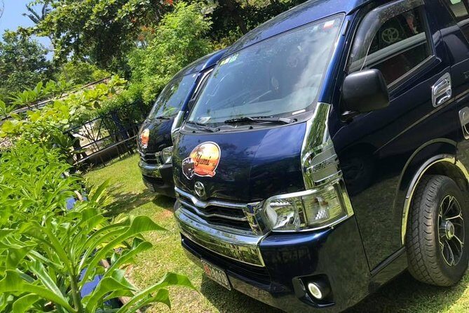 Port Vila International Airport to Hotel with Yumi Tours - What Makes This Transfer Stand Out