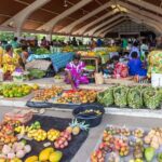 Port Vila's Guided Food Experience - Authentic Island Lunch at Kava Lounge
