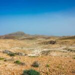 Postcards of Boa Vista 4x4 Tour with Shipwreck & Local Lunch - Authentic Experiences and Real Insights
