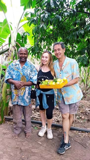 Praia: Banana and Coconut Plantation Tour with Lunch - Scenic Views and Artistic Flare