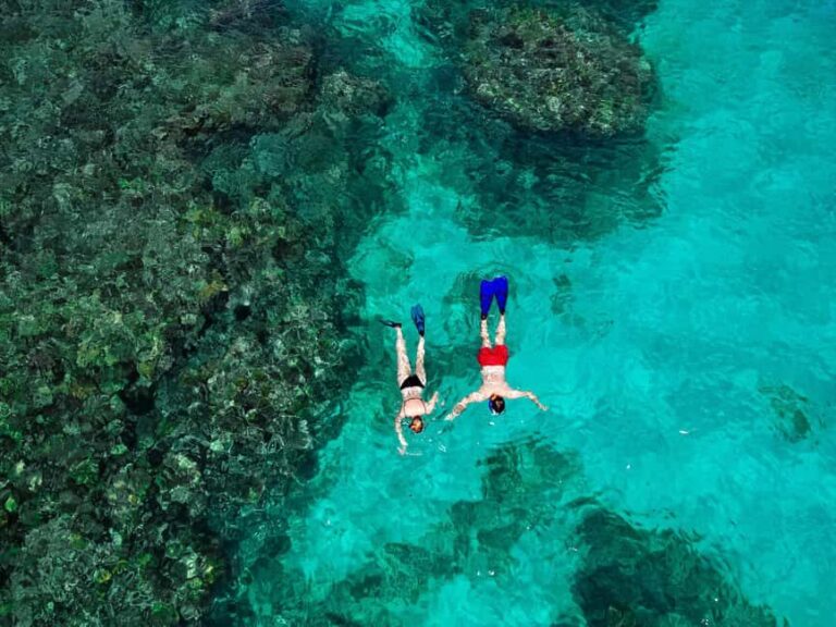 Praslin: Curieuse & St. Pierre Full-Day Boat Trip with Lunch - An In-Depth Look at the Tour Experience
