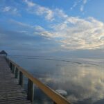 Premier Transfers and Tours Fiji - Why Choose Premier Transfers and Tours Fiji?