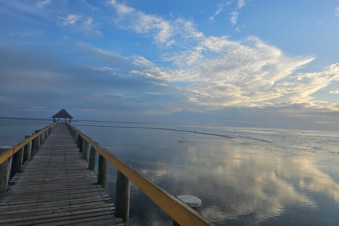 Premier Transfers and Tours Fiji - Why Choose Premier Transfers and Tours Fiji?