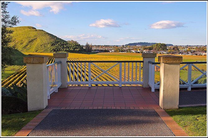 Premium-Hawke's Bay, Napier Winery Tour - 5.5 hours - Who Should Consider This Tour?