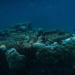 Premium Sea Scooter Lagoon Discovery - What You Can Expect from the Experience