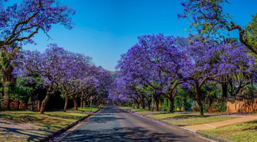 Pretoria: Half-Day City Tour - Authentic Insights from Travelers