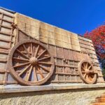 Pretoria: Pretoria City and Lion Park Tour - Authentic Experiences from Reviews