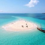 PRISON ISLAND AND NAKUPENDA SANDBANK UNVEILED EXCURSION - What Makes This Tour Stand Out?