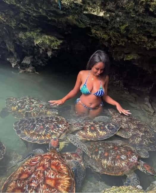 Prison Island, Spice Farm, Sea Turtles & The Rock Restaurant - A Closer Look at the Tour Experience