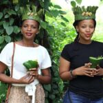 Prison island, Stone town, Spice farm and Jozani Forest tour - An In-Depth Look at the Tour Itinerary