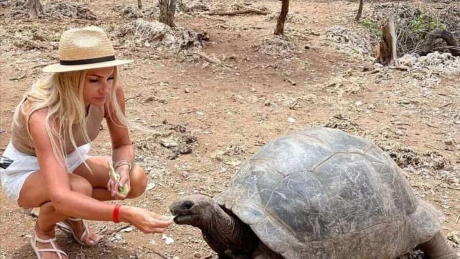 Prison Island,Stone town,Spicefarm and Sea turtles Sanctuary - Whats Included and Whats Not