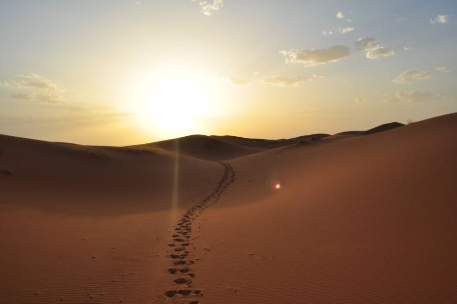 Private 2-Day Desert Trip with Camping & Camel Trekking - Authentic Experiences from Travelers’ Perspectives