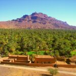 Private 2-Day Tour to Zagora Desert with Food & Camel Ride. - What Sets This Tour Apart?