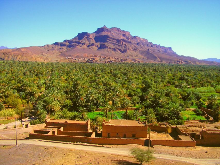 Private 2-Day Tour to Zagora Desert with Food & Camel Ride. - What Sets This Tour Apart?