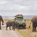 Private 7 Days Samburu Ol pejeta L. Nakuru L. Naivasha Masai - Final Thoughts: Is It Worth It?