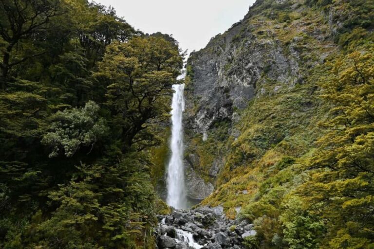 Private Arthurs Pass Alpine Vista Day tour - Transportation and Logistics