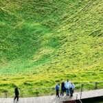 [PRIVATE] Auckland Half Day City Tour - The Sum Up