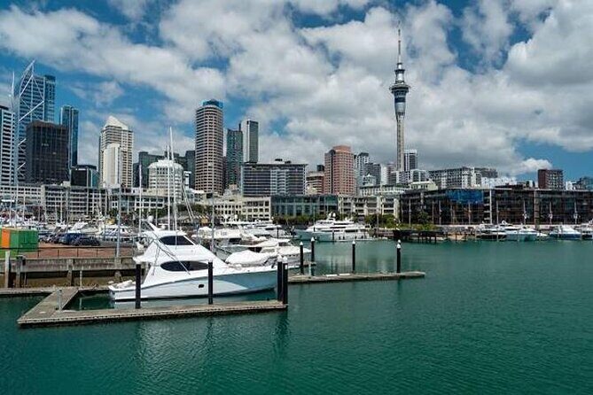 Private Auckland Shore Excursion: Half-Day City Highlights - Iconic Landmarks and Waterfront Highlights